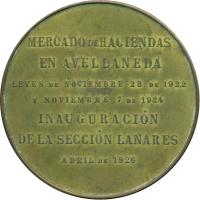 AIVM reverso