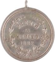 AVVM reverso